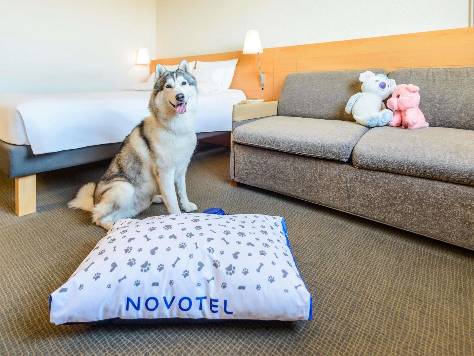 Novotel Torino Corso Giulio Cesare Екстериор снимка